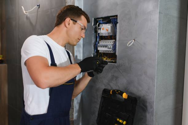 Best Electrician for Home Renovation  in New Paleste, IN